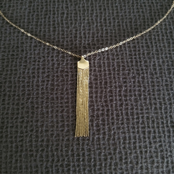 Silver🤍 Wren🪶 Dainty Gold💛 Tassel Necklace - Picture 5 of 12